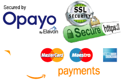security and payment logos